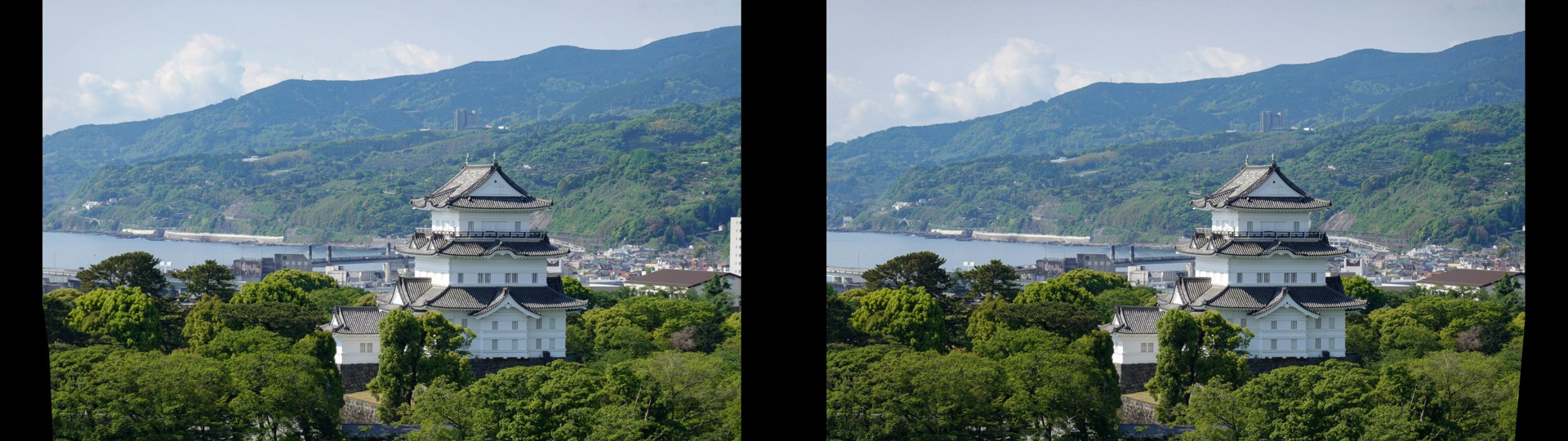Odawara Castle by the Coast